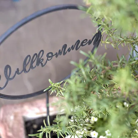 Zur Weinsteige 公寓 *